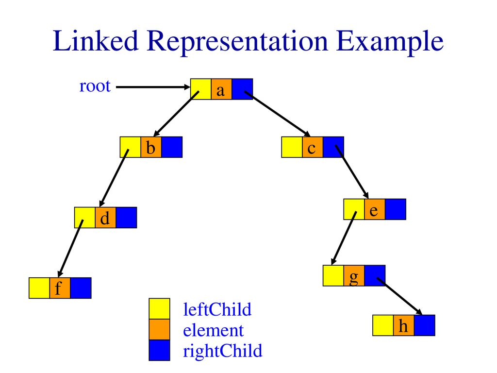 Root element. Representation.