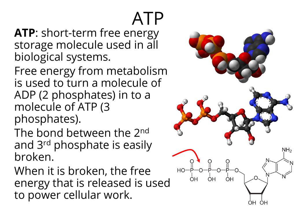 Domain 3 Energy Ppt Download domain-3-energy-ppt-download