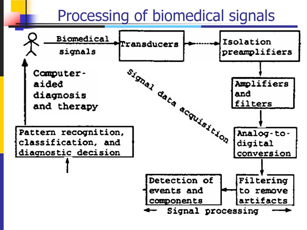 Biomedical Signal Processing Chapter 1 Introduction - Ppt Download