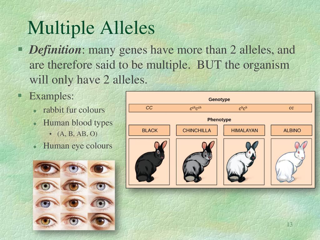 what is the significance of multiple alleles