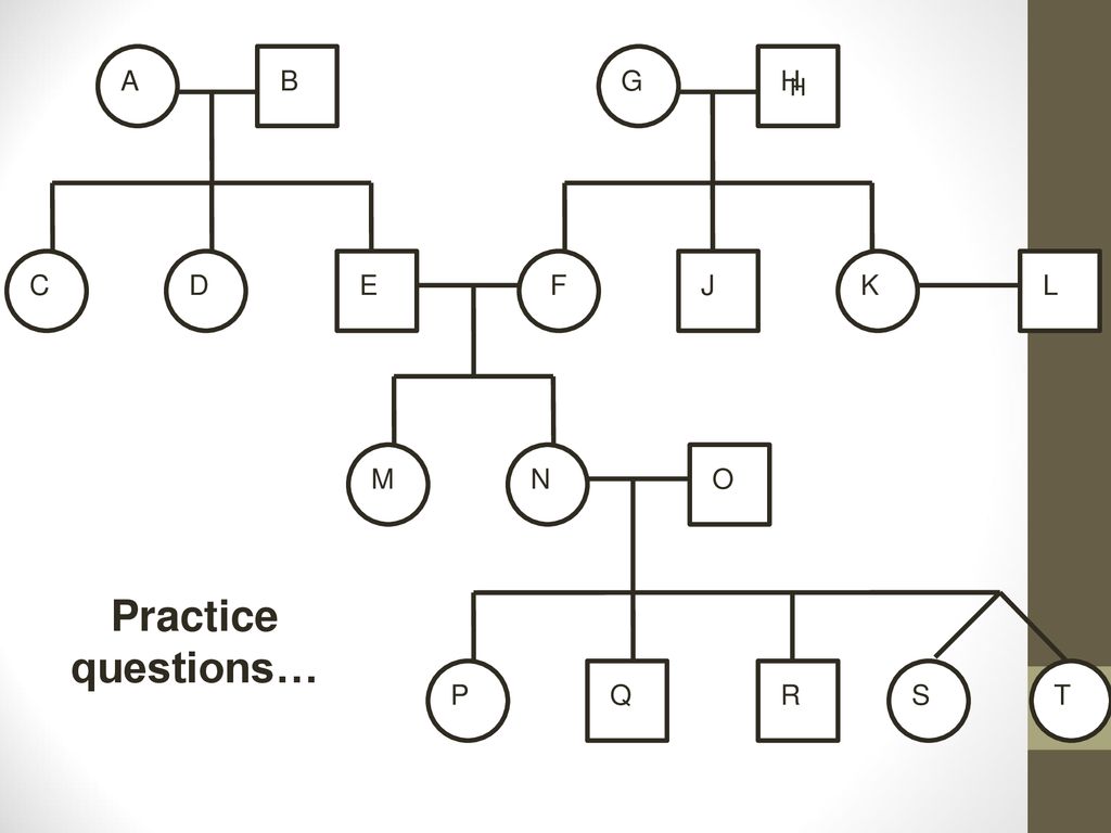 Pedigrees Not The Dog Food Ppt Download
