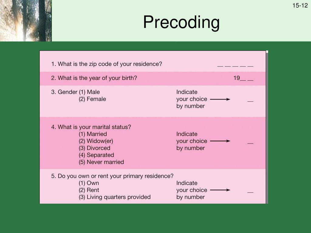 Data Preparation and Description - ppt download