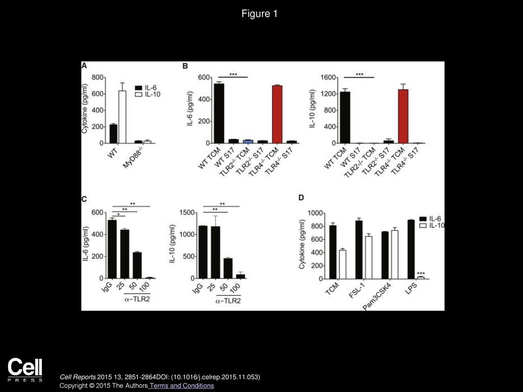 Figure 1 Tumors Stimulate Autocrine IL-6 and IL-10 in DCs through TLR2