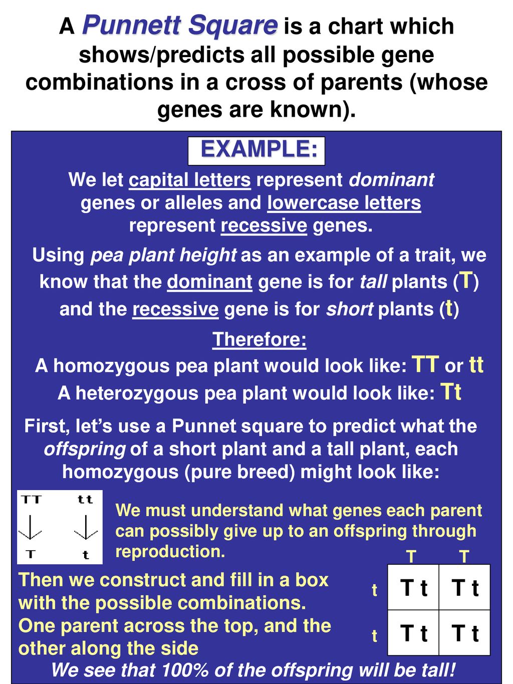 Heredity part two ppt download