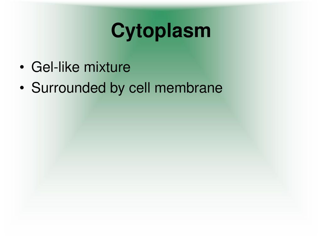 Agenda: Quiz Notes: Cell Parts Animal Cell and Plant Cell Pictures ...