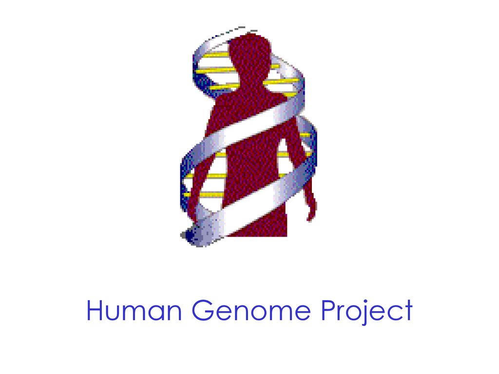 The Human Genome Project Completed