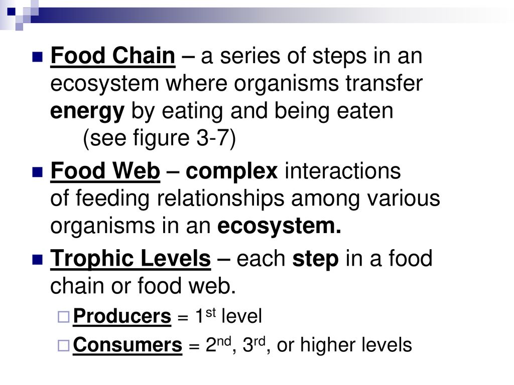 Chapter 3 The Biosphere. Biology Diagrams