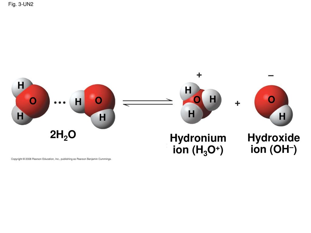 2H2O Hydronium ion (H3O+) Hydroxide ion (OH–)