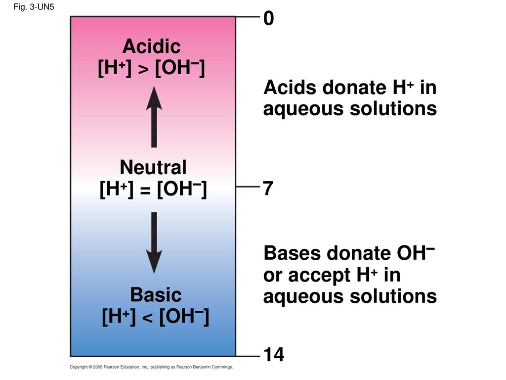 Acidic [H+] > [OH–] Neutral [H+] = [OH–] 7 Basic [H+] < [OH–] 14