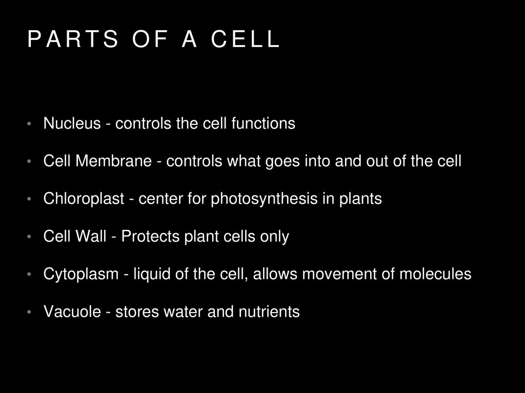Parts of a Cell Nucleus - controls the cell functions