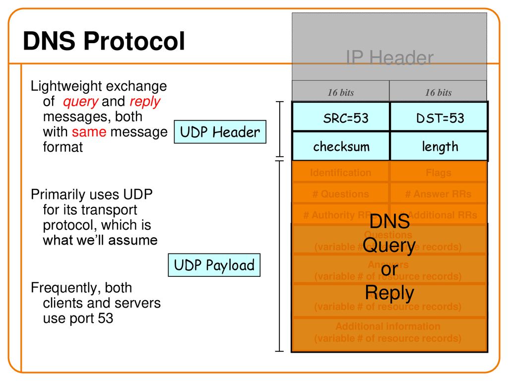 Dns какой порт. DNS протокол. DNS Protocol. DNS Port Protocol примеры. Два протокола близкие по функциональности RTP DNS IP OMAP CMIP.