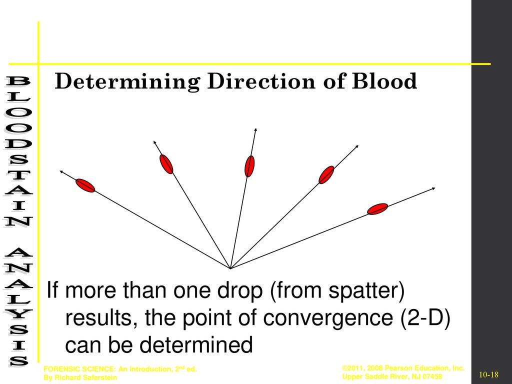 Blood Spatter Analysis - ppt download