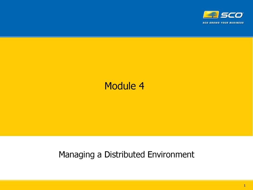 Managing a Distributed Environment - ppt download
