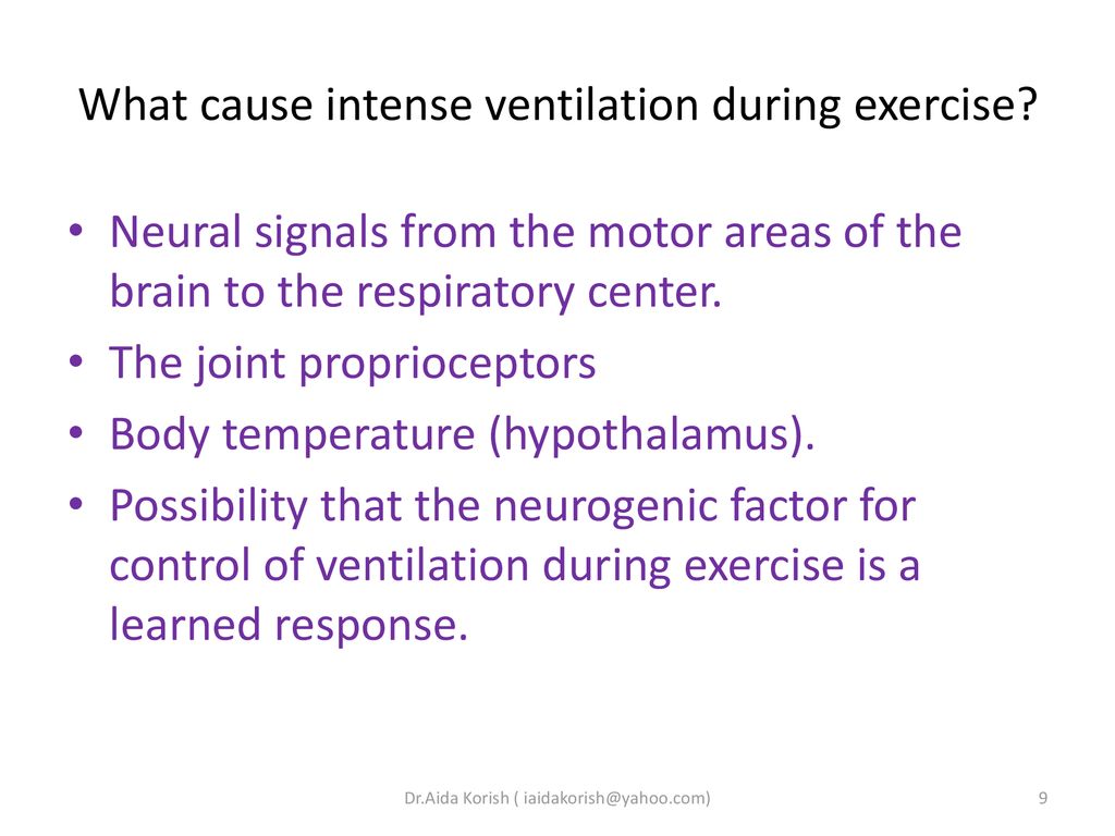 Effects of exercise on the respiratory system. - ppt download