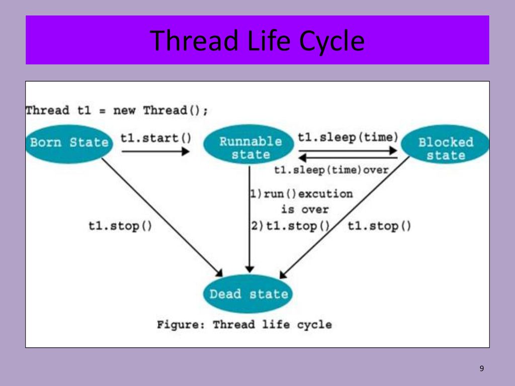 NETWORK PROGRAMMING CNET ppt download