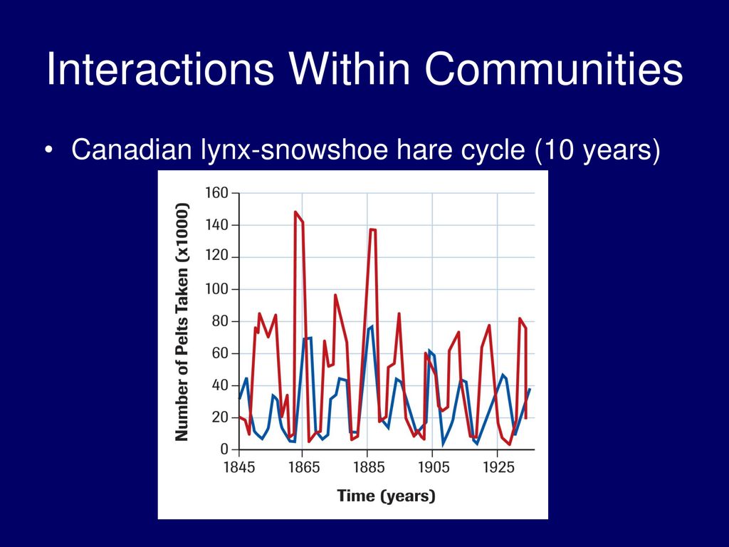 REVIEW Carrying capacity Population dynamics Fecundity - ppt download