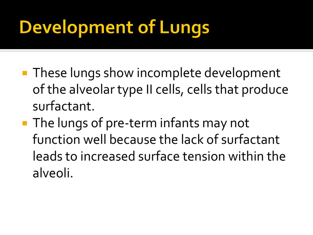 Respiratory System Ppt Download