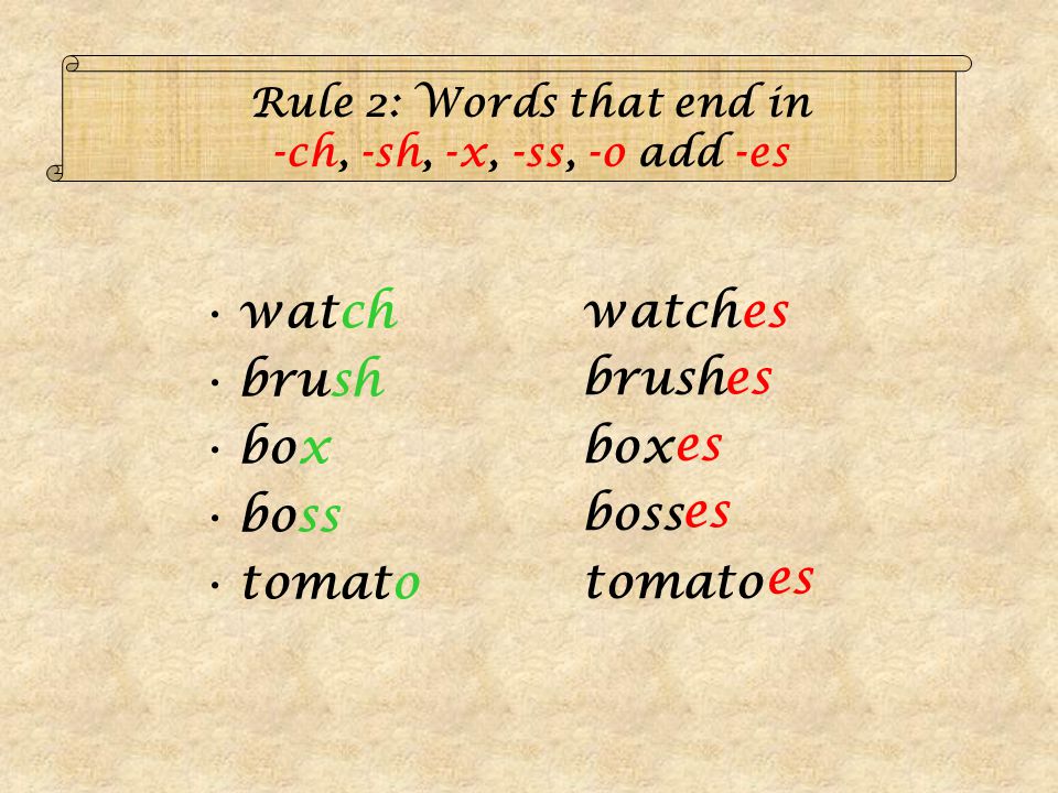 Rule 2: Words that end in -ch, -sh, -x, -ss, -o add -es