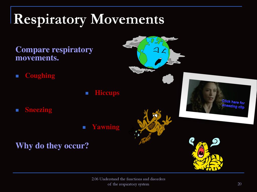 2.05 Remember the structures of the respiratory system - ppt download