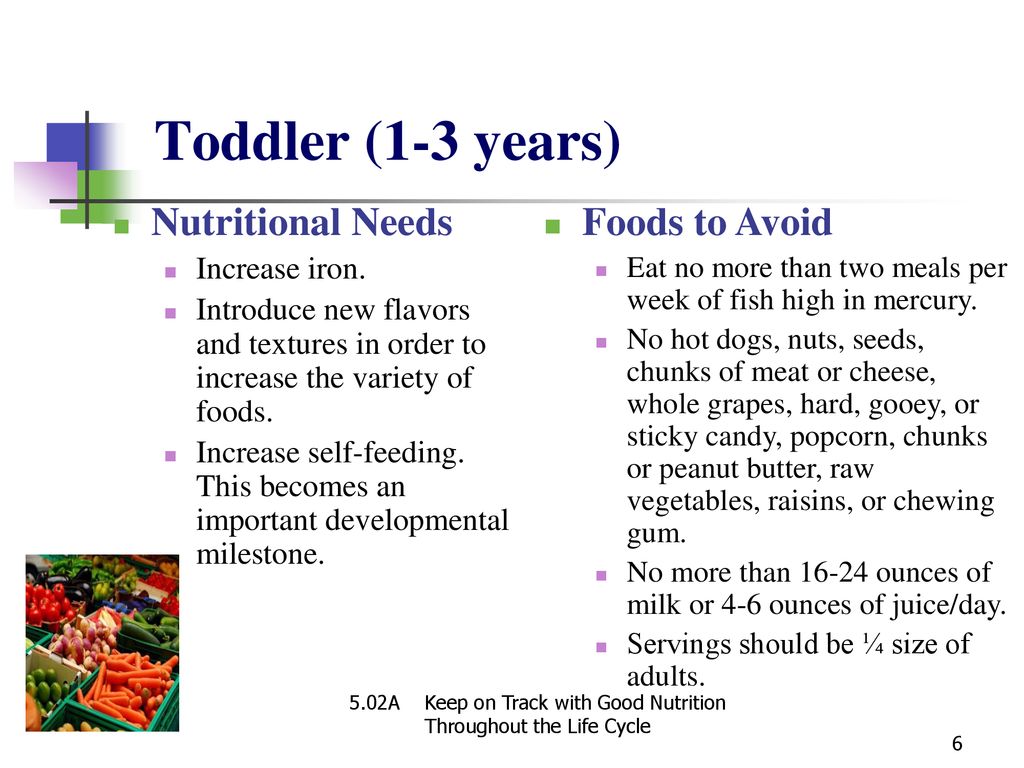 5.02A Keep on Track with Good Nutrition Throughout the Life Cycle - ppt ...