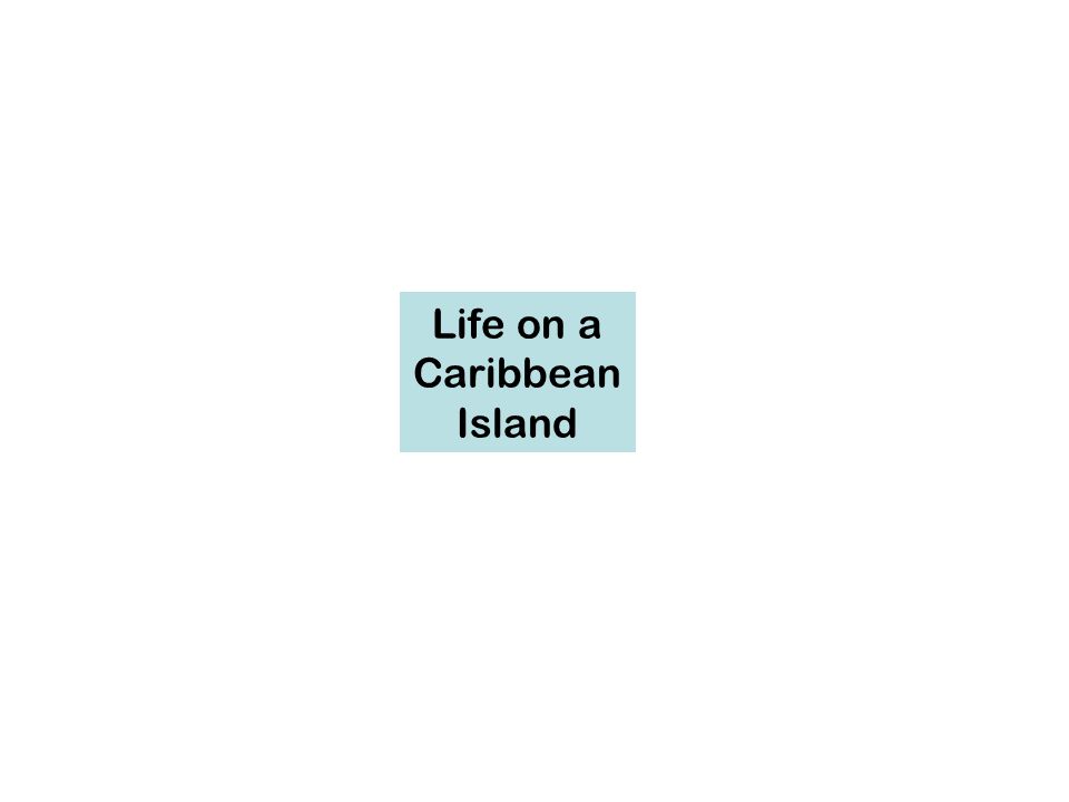 Life on a Caribbean Island