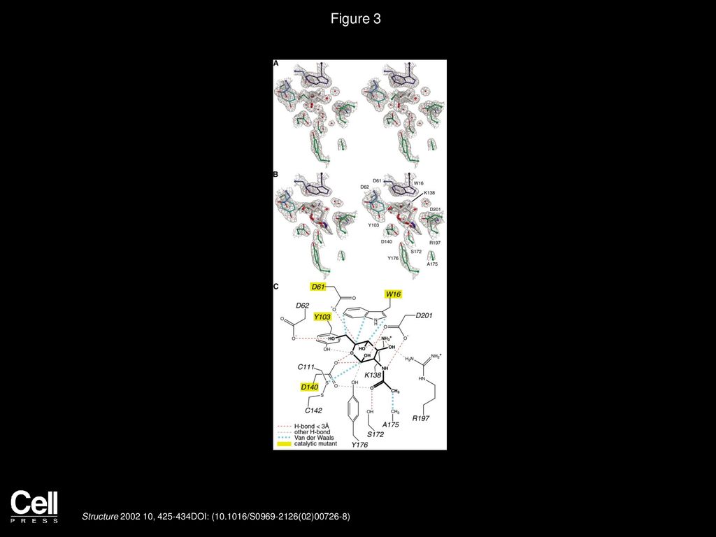 The 1.9 Å Structure of αNAcetylgalactosaminidase ppt download