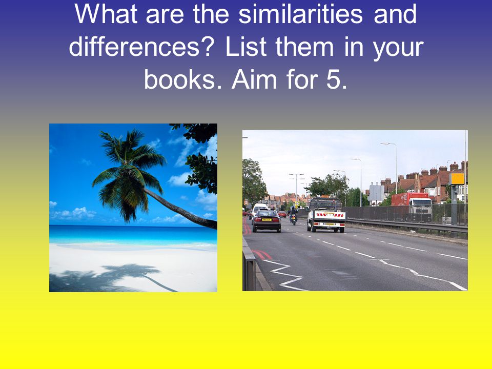 What are the similarities and differences. List them in your books