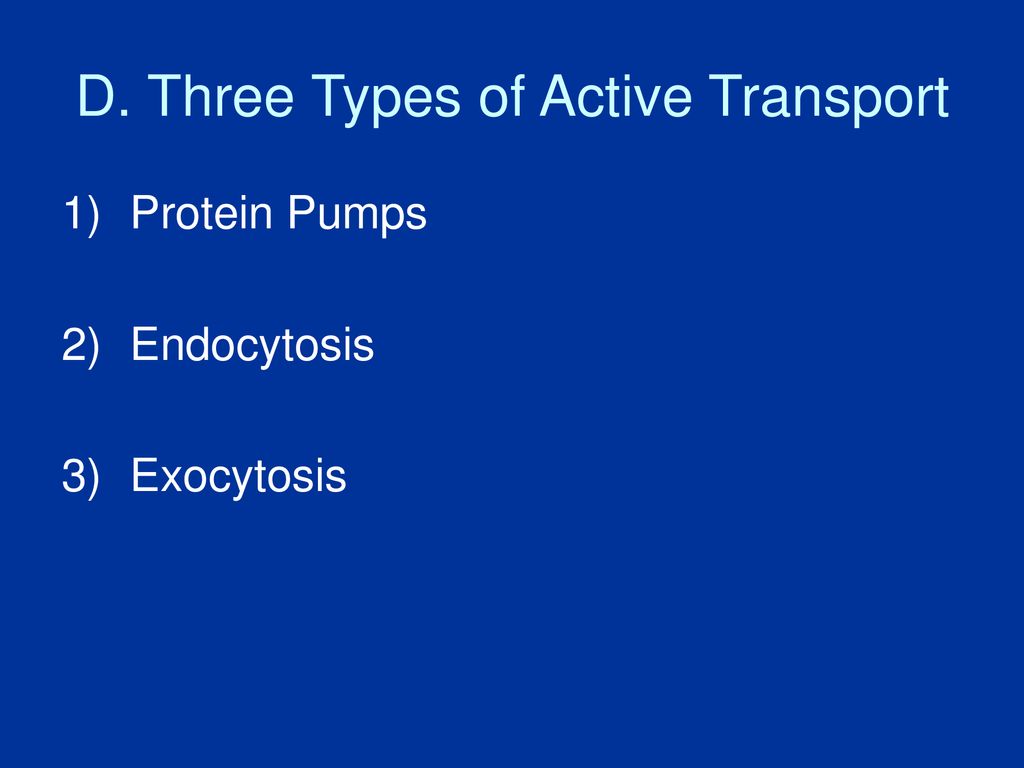 D. Three Types of Active Transport