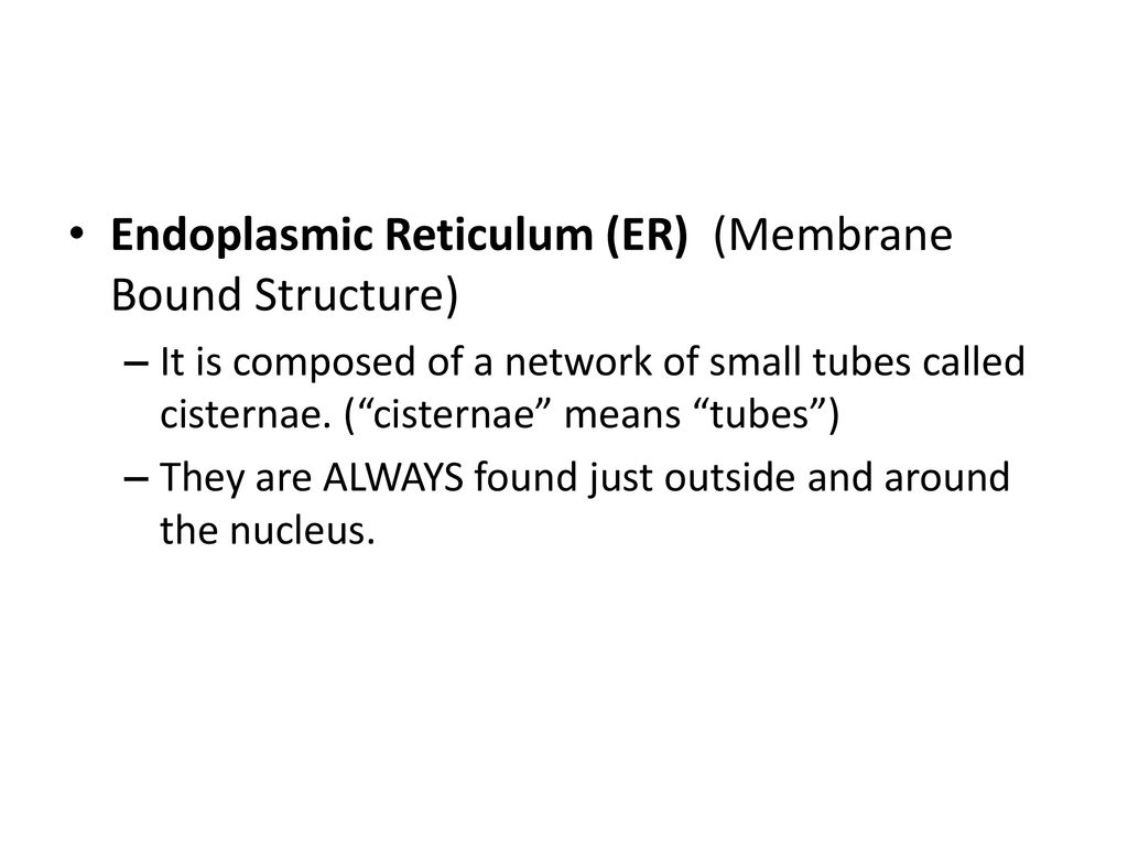 Endoplasmic Reticulum (ER) (Membrane Bound Structure)