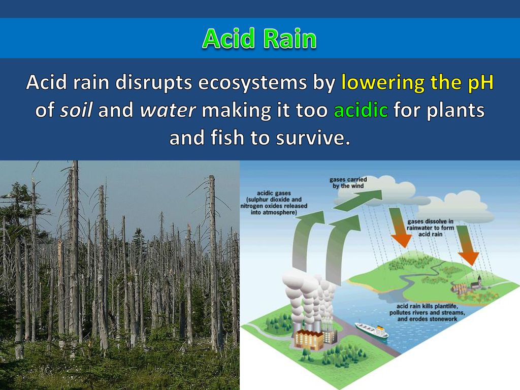 Environmental Change Biology Diagrams