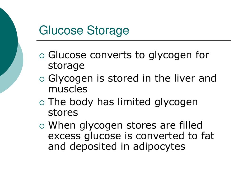 ENERGY METABOLISM An overview for 7th and 8th grade students attending
