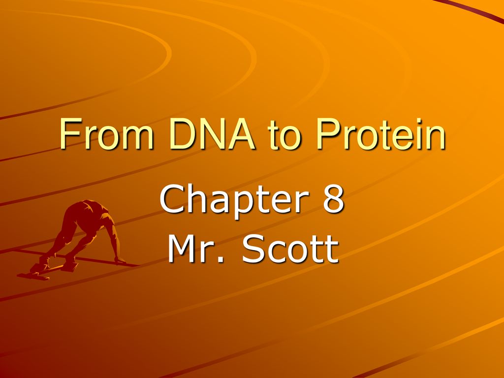 From DNA To Protein Chapter 8 Mr. Scott. - Ppt Download