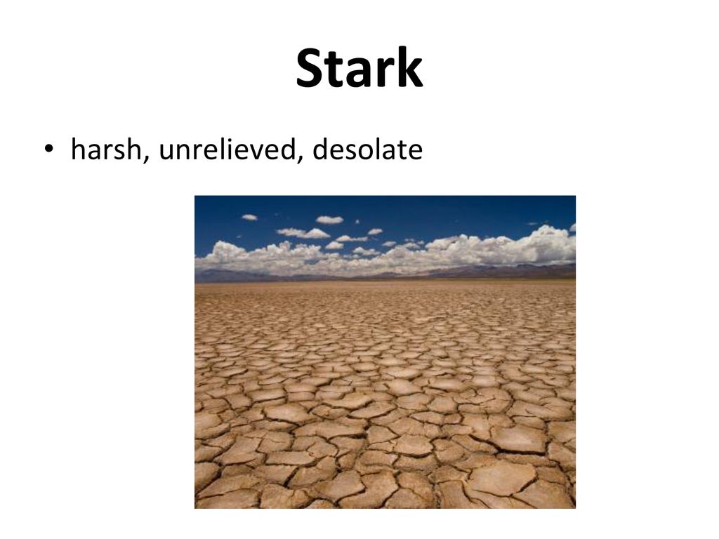 Vocabulary Unit English AP & 10H. - ppt download