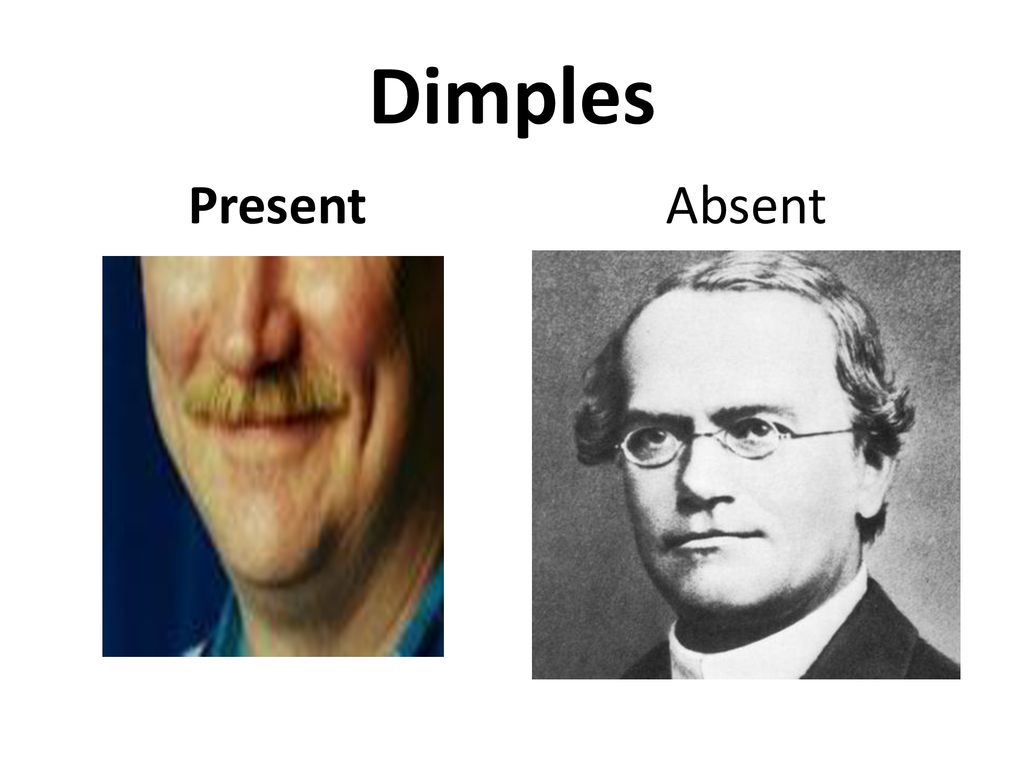 Dominant or recessive which is more common in a population ppt download