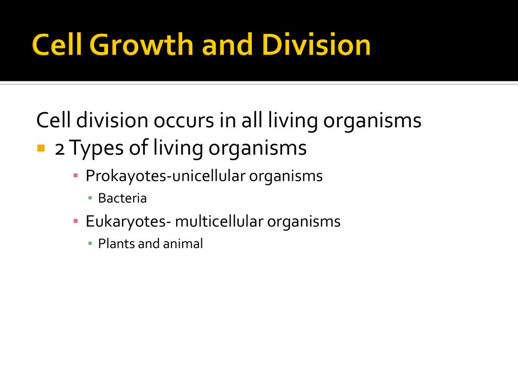 Purpose of the Cell Cycle Biology Diagrams