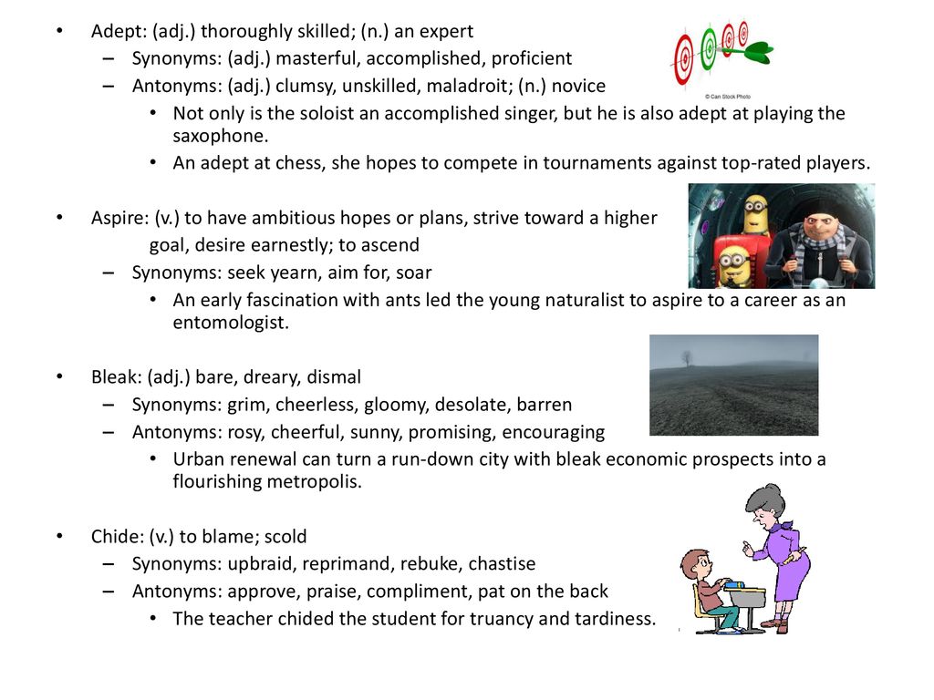 adept-adj-thoroughly-skilled-n-an-expert-ppt-download