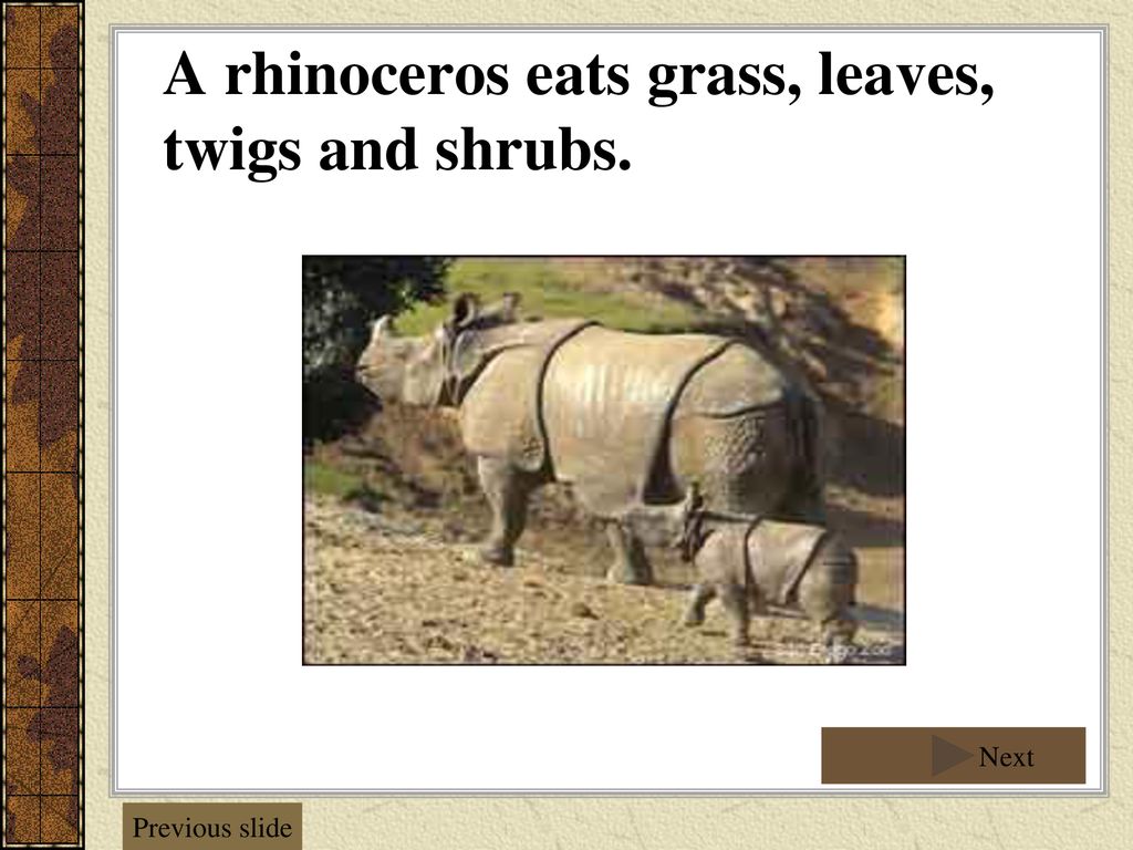 Carnivore, Herbivore, Omnivore Grade 4 Standard 3: Flow of Matter and