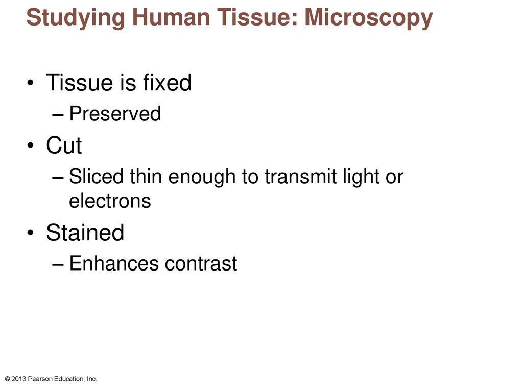Studying Human Tissue: Microscopy