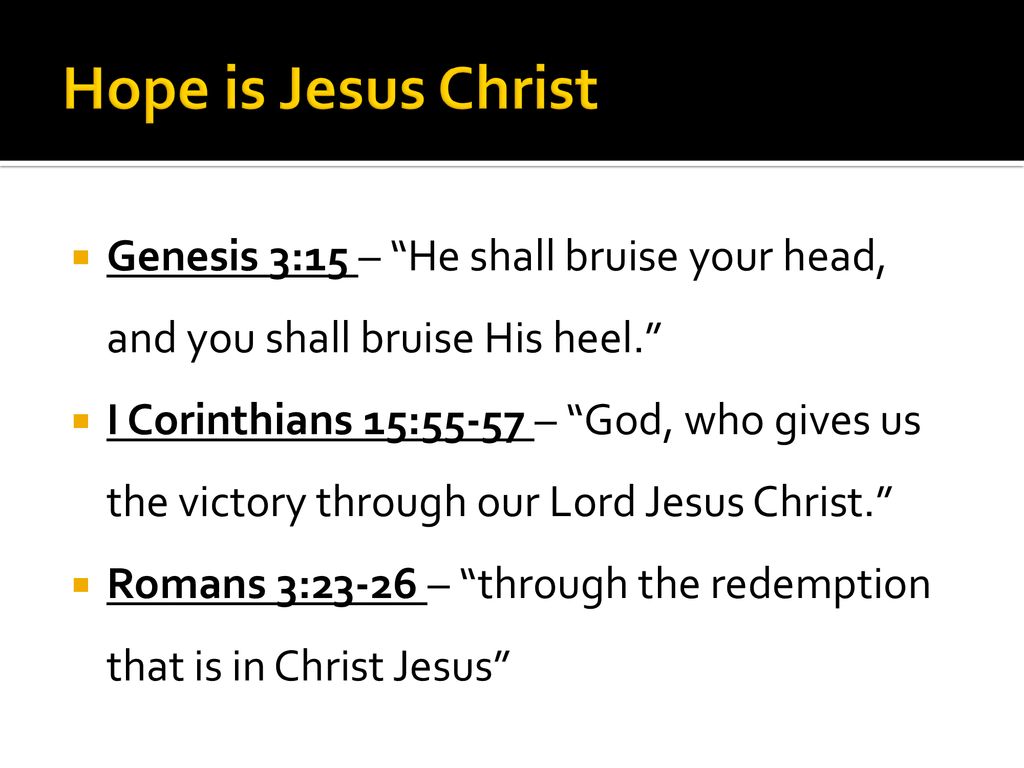 Genesis 3:14-19 / King James Version (with Apocrypha) | Bible Online