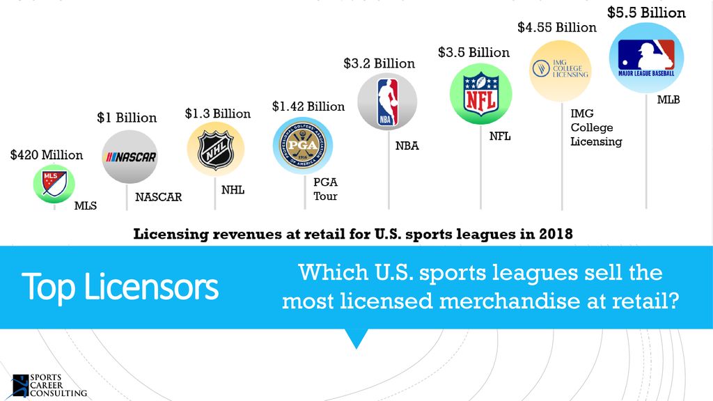 Licensing Impact on Consumers ppt download