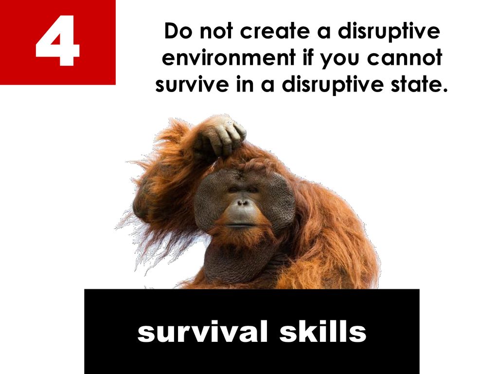 4 Do not create a disruptive environment if you cannot survive in a disruptive state.