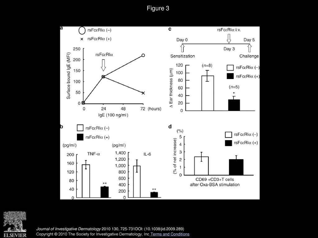 Abrogation of High-Affinity IgE Receptor-Mediated Mast Cell Activation ...