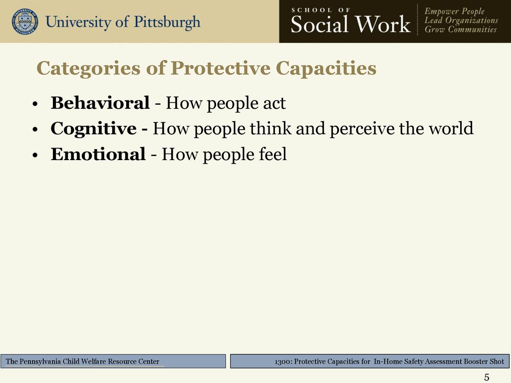 Categories of Protective Capacities