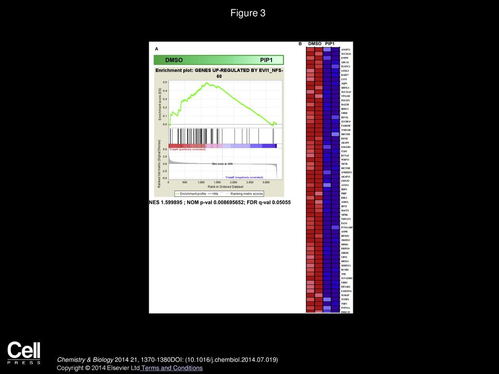 Figure 3 Gene Set Enrichment Analysis