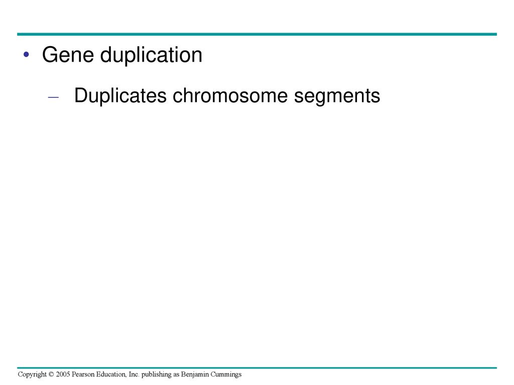 Gene duplication Duplicates chromosome segments