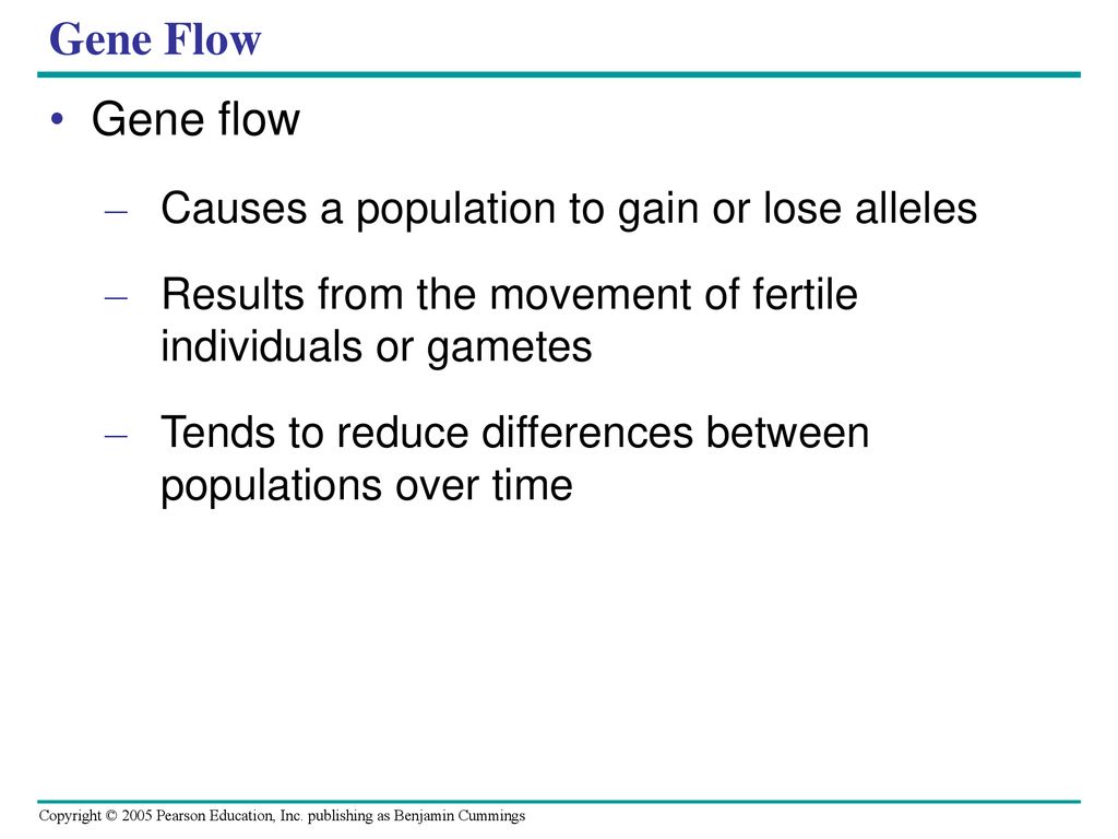 Gene Flow Gene flow Causes a population to gain or lose alleles