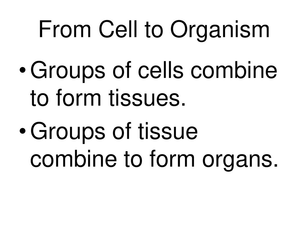 Cells Chapter 2. Cells Chapter 2 The Cell Cell The basic unit of