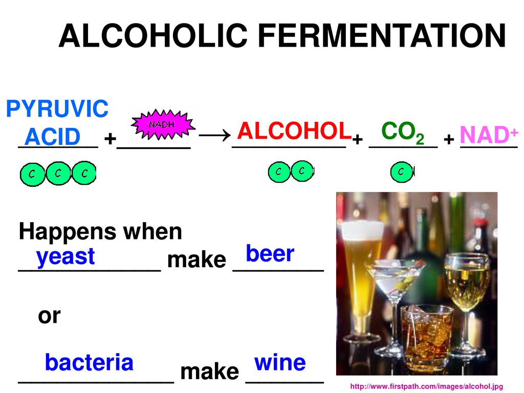 Chemical Pathways Chapter ppt download