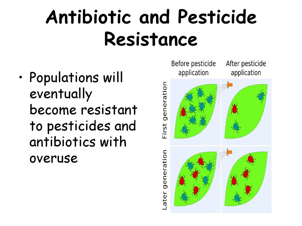 Biology Ppt Download