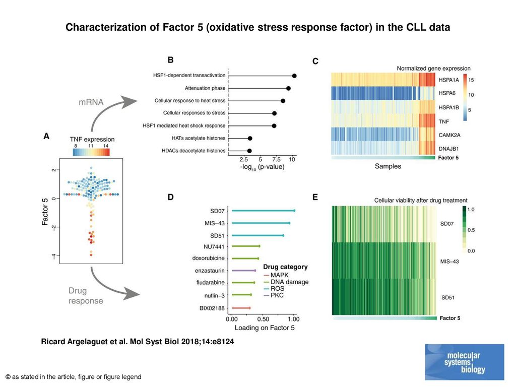 Characterization of Factor 5 (oxidative stress response factor) in the CLL data
